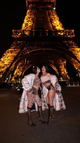 trans girl AndressaStrad 6424064