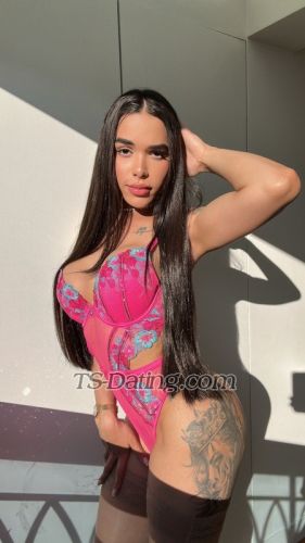 trans girl Andreza77 9260459 trans girl Andreza77 9260459