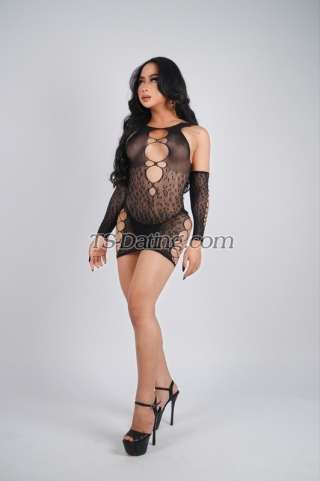 trans girl AnesGebriel 5184625 trans girl AnesGebriel 5184625