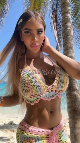 trans girl Angelash 6330308 trans girl Angelash 6330308