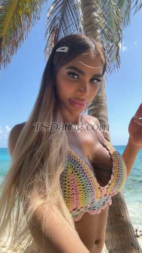 trans girl Angelash 6330395 trans girl Angelash 6330395