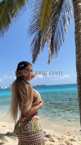 trans girl Angelash 6330495 trans girl Angelash 6330495