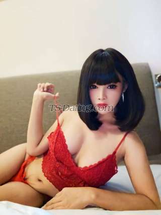 trans girl Angie040465 5042579 trans girl Angie040465 5042579