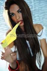 Angie Tv Trieste Transex Angie Amsterdam  - International Transexual

Visiting Trieste
only few days.
avaible until 4 11.


Baby latina transex @ Helsinki
few days.
*Luxury Apartment  -
24/H.

Angie - Sexy and very convincing t-girl Hi guys, I am a very hot t-girl 19 years old, I am 5'7 ft (without high heels),nice smooth body,very feminine,lovely back side! 100% genuine pictures!I am versatile active and passive. I am fully functional of 8 inches genuine. I'm up for anything and any request for your fantasy. I like spending nice time with good company,relaxing,talking,kissing,touching... To know about me just contact me! 

Angie Amsterdam - Worlwide Transsexuell

your little angel.
Private Charming and Luxury Apartment
@Entrance - 1 Stock.

phone nr: +39 3891826516

whatsapp and direct calls.

24 hours.