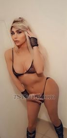 Ango007 Beirut Transex شيميل عربيه توب وبوتوم ومسترس  im arab shemale top and botom
Sexy perfect shemale with 20 cm hard active Dick  and passive  is ready for u all coupels slaves bottom and I have big round ass whatsapp me everybody are welcome im mistress and dominate i like slave people see u dogs 