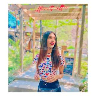 trans girl Ankita22 9795165 trans girl Ankita22 9795165