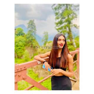 trans girl Ankita22 9795448 trans girl Ankita22 9795448