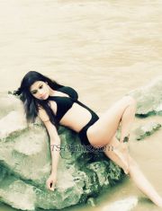 Ankita722 Delhi Transex I AM A CERTIFIED ESCORT AND ALL MY PHOTOS ARE GENUINE AND 100% ME. WHATEVER YOU SEE HERE IS WHAT YOU GET WHEN YOU MEET ME*** 

***ALL RATES ARE STRICTLY NON NEGOTIABLE*** 
**** IF YOU CANNOT AFFORD 5 DIGIT SUM, DO NOT WASTE YOUR TIME CONTACTING ME. YOU WILL NOT BE ENTERTAINED**** 

Some women were made, but I Ankita, exist beyond your human concept of gender. I'm a versatile Tgirl SHEMALE with exotic and wild looks which i believe can make your dreams come alive!! 

Chameleon-like, seductive and provocative androgyny... I'll let my photos do the talking. 
Slender and sweet with exotic features and long silky razor haircut, nonetheless feminine and loves getting hot and bothered with great company and perhaps a glass of wine. 
Whether you are a first timer or plainly curious you are most definitely welcome to have a taste of my chocolate sun-kissed radiance and killer looks to give you a satisfying and absolutely most unforgettable moments. If you are tired of the hundrum of daily life you know you can depend on an irresistible time with me and just let things loose. 

Talk is cheap, if you want the BEST, pick up the phone and dial me up boys!😘 

# don't ask for confirmation call. Use your brain , my profile is verified, top-rated and reviewed by many. So, do not ask for it. 
## dont ask for nude photographs, u will be blocked. 
### do not call on whatsapp video chat without asking. If i m not replying wait till i reply. 
#### dont burgain as if you are in a fish market. I DO NOT NEGOTIATE my charges. So if you cant afford me dont waste your as well as my time .. u can reach me in 9650462789