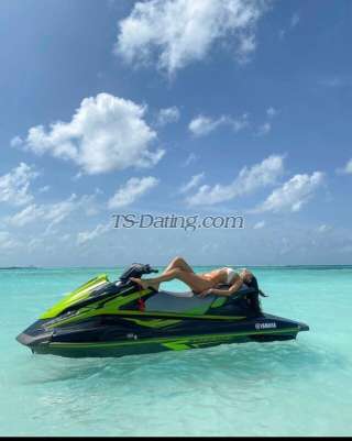 trans girl Ankita722 3412152 trans girl Ankita722 3412152