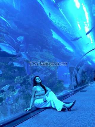 trans girl Ankita722 7883966 trans girl Ankita722 7883966