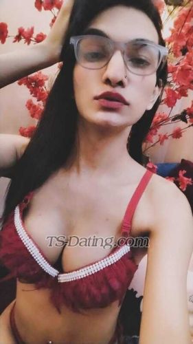 trans girl Ankyhott 3263236