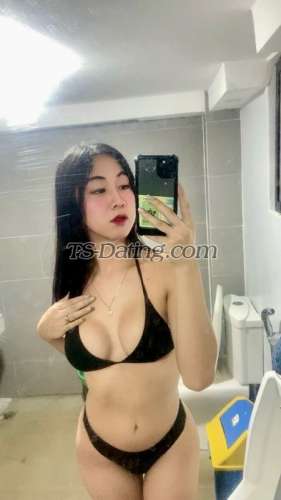 trans girl Annesalonga11 5405256 trans girl Annesalonga11 5405256