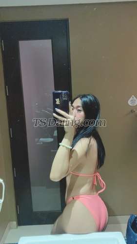 trans girl Annesalonga11 5896015 trans girl Annesalonga11 5896015