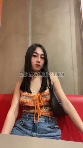 trans girl Annesalonga11 8426735 trans girl Annesalonga11 8426735