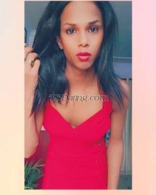 trans girl Anni 6908062 trans girl Anni 6908062