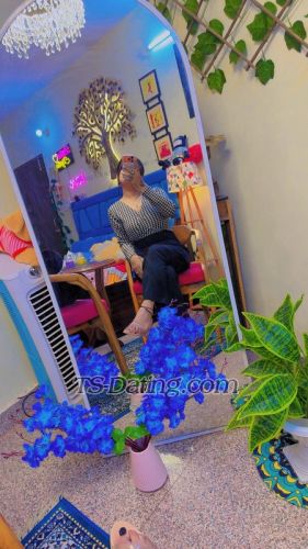 trans girl Anshikaa 2666598