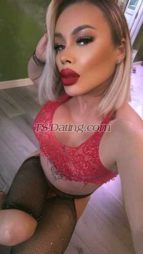 trans girl Antonya 6453362 trans girl Antonya 6453362