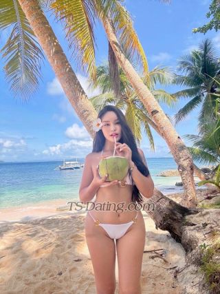 trans girl AraBelle 8399653 trans girl AraBelle 8399653