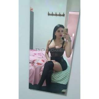 trans girl ArianaRomos 3860541 trans girl ArianaRomos 3860541