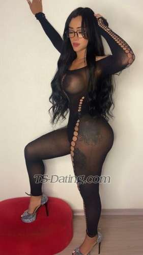 trans girl ArianneLima 2679627 trans girl ArianneLima 2679627