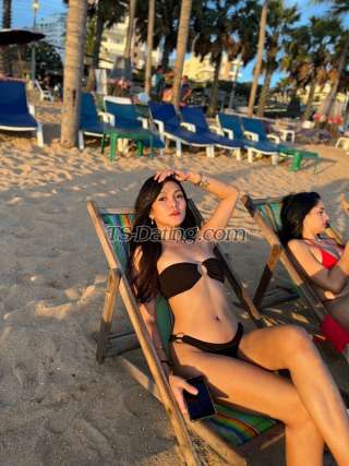 trans girl Armani06 5184251 trans girl Armani06 5184251