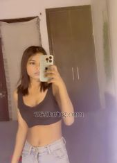 Arohishrma Delhi Transex Aarohi….🦋
Video call Sarvice
Cam/vc
Recodid video
Play top bottom both
6inch dick
36 big boobs
Sexy Ass
Decent by words sexy by actions
Hygiene must
Sweet and romantic in bed but can be dominat
And submissive too.
Services
💕Romance /cuddle
💕 massage
💕Drink session /dance
💕Role play
💕cock teasing
💕Domination/soft Domination
💕Full Day /full night
💕cam show

I’m a versatile shemale, available with place in South Delhi, Escort here in Delhi provide all type of Service.

I’m a well educated and a decent person.

Whatsapp me first, don’t call me directly

Services offered are:

💕 BDSM
💕 Roleplay (Anytype)
💕 Domination
💕 Threesome
💕 Oral
💕 Fun
💕 Fetish
💕 Girl Friend Experience

Time wasters and free seekers please stay away

Thank You
Arohi 
Tlegram I’d Offical_roohi

