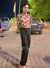 Arohi shrma Delhi Saket Transex Aarohi….🦋
Video call Sarvice
Cam/vc
Recodid
video
Play top bottom both
6inch  dick
36 big
boobs
Sexy Ass
Decent by words sexy by
actions
Hygiene must
Sweet and romantic in bed but
can be dominat
And submissive
too.
Services
💕Romance /cuddle
💕
massage
💕Drink session /dance
💕Role
play
💕cock teasing
💕Domination/soft
Domination
💕Full Day /full night
💕cam
show

U don’t usually put a lot of make up I
prefer my
Natural skin tone hydrated but if u wanne see
me with a full glam make up , a mistress look that’s upon
ur request .
Let’s have a good time and explore
everything,
Making ur fantasies come true.
To those
who will.
Videocall right away without my permission
will
Be block.
Fir inquires and to know more about
my self and
Services just kindly send me a
message.
On WhatsApp for real meet or vc
service
Charges….🧿🌸🦋
