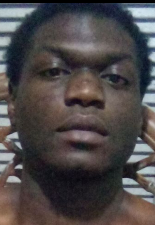 Masculin De USA - Florida