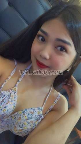 trans girl Ashanasosweet 7133022 trans girl Ashanasosweet 7133022