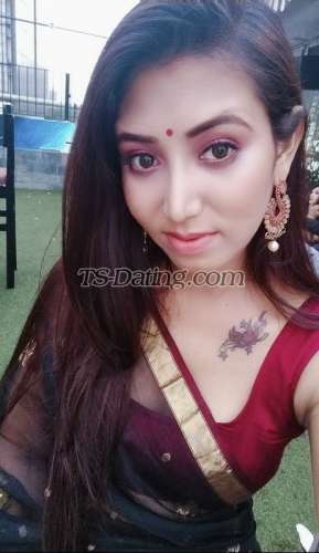 trans girl Ashleeen 8880993 trans girl Ashleeen 8880993