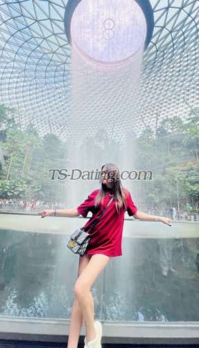 trans girl Ashley23 4864257 trans girl Ashley23 4864257