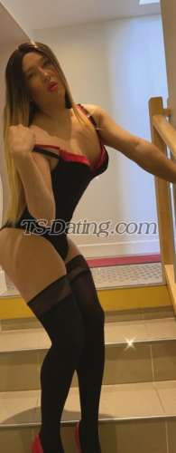 trans girl AshleyHotTs 0304336 trans girl AshleyHotTs 0304336