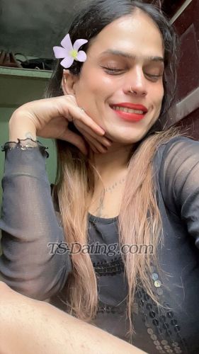 trans girl AshleyKour 2155487