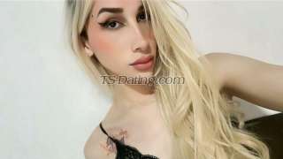trans girl AshleyThais 9198524 trans girl AshleyThais 9198524