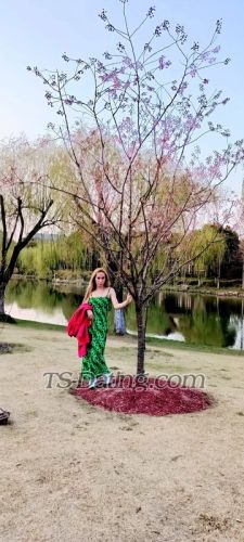 trans girl Ashly34 4875757