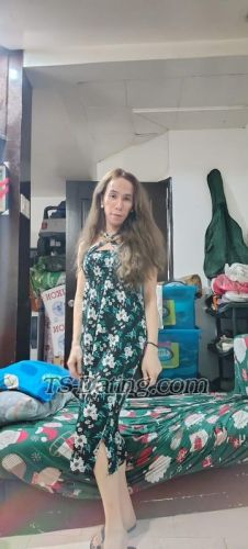 trans girl Ashly34 8266177 trans girl Ashly34 8266177