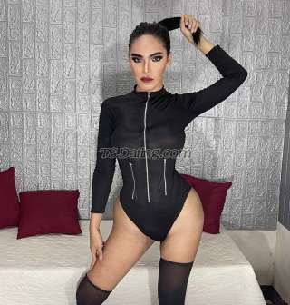 trans girl AsianHUGEdol 4515588 trans girl AsianHUGEdol 4515588