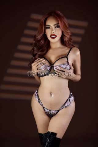 trans girl AsianHUGEdol 8929552 trans girl AsianHUGEdol 8929552