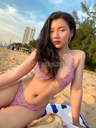 trans girl Aunpapa1228 6445667 trans girl Aunpapa1228 6445667