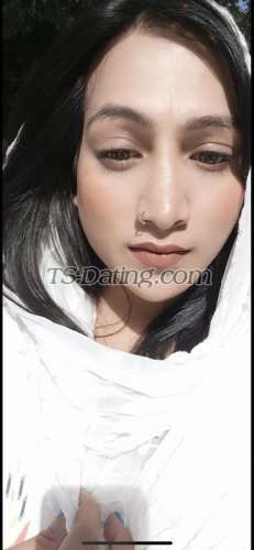 trans girl Avanya 8130298 trans girl Avanya 8130298