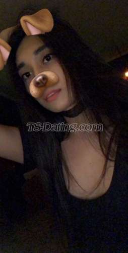 trans girl AznPrincess 5160279 trans girl AznPrincess 5160279