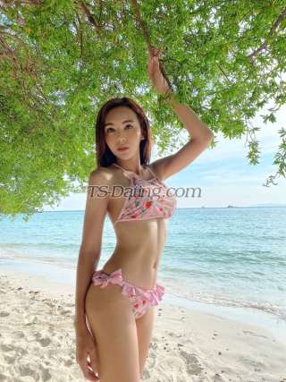 trans girl aimmy4636 6890361 trans girl aimmy4636 6890361