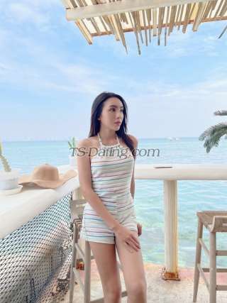 trans girl aimmy4636 7365037 trans girl aimmy4636 7365037