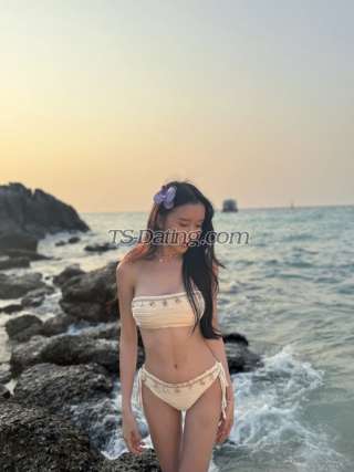 trans girl airlyaligan 2730445 trans girl airlyaligan 2730445