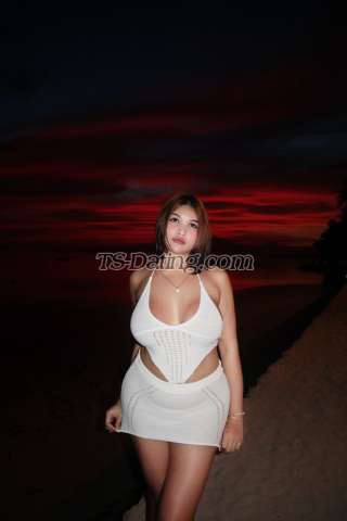 trans girl aishakim 5665724 trans girl aishakim 5665724