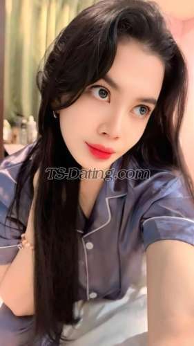 trans girl alegro11 1845649 trans girl alegro11 1845649