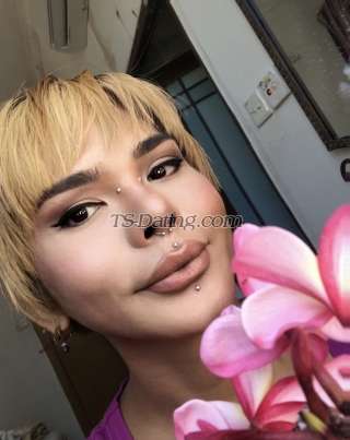 trans girl amandatrance 7895192 trans girl amandatrance 7895192