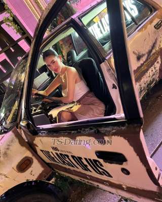 trans girl ayessa 8841971 trans girl ayessa 8841971