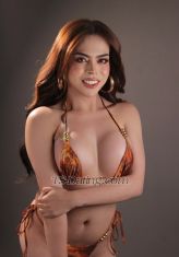 azsasaki1919 Orchard Transex