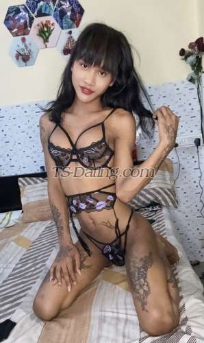 trans girl BabeMona 4642505